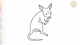 Macrotis drawing easy  Art tutorial  How to draw A Bilby step by step simply  artjanag [upl. by Anelrahs476]