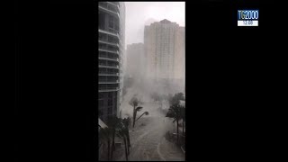 Luragano Irma si dirige verso Tampa Si contano 5 morti e 6 milioni di evacuati [upl. by Madlin]