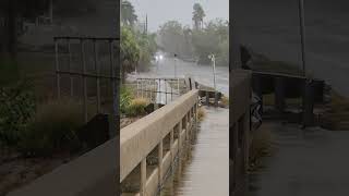 Flooding in Siesta Key flwx weather [upl. by Goodill927]