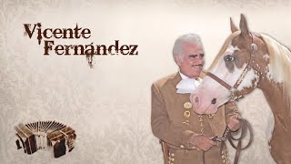 Vicente Fernández  Mano a Mano [upl. by Wilfred]