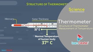 Heat Class 7 Science  Thermometer  Clinical Thermometer  Measurement of Temperature [upl. by Kevan443]