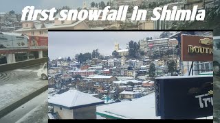 first 🌨️☃️snowfall in Shimla part 1 2024 himachal shimla rohitchambewala [upl. by Victory]