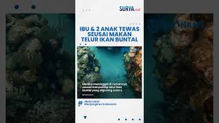 GEGARA Ikan Buntal Ibu dan 2 Anak di Maluku Tengah Tewas seusai Konsumsi Ikan Buatan Sang Suami [upl. by Yna]