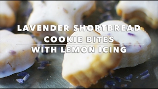 Lavender Shortbread Cookie Bites with Lemon Icing [upl. by Neuburger]