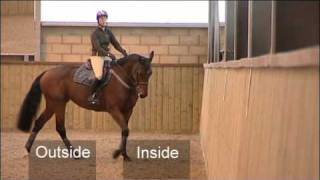 Flatwork Training for Showjumping [upl. by Helve66]