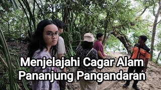 Menjelajahi Cagar Alam Pananjung Pangandaran  Apa Bagaimana Channel [upl. by Ynnos]