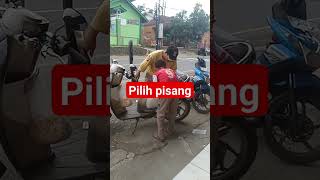 pilih pisang lucu jangkauanluasinteraksipemula [upl. by Nos721]