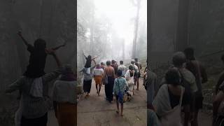 கொட்டும் பனியில் ஐயப்ப பக்தர்கள் சாமி தரிசனம்  heavy snow at sabarimala pilgrimage after a rain [upl. by Duyne]