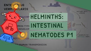 Helminths Intestinal Nematodes Part 1 features clinical importance diagnosis treatment [upl. by Varhol904]