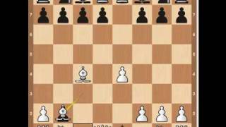 Chess Openings Danish Gambit [upl. by Eerat]