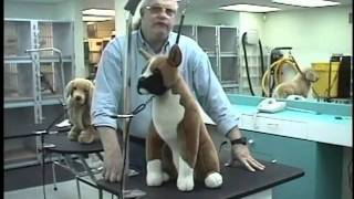 Groomers Helper Training Video [upl. by Emaj]