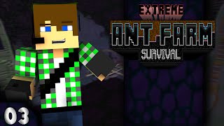 Extreme Ant Farm Survival E3 [upl. by Atrebla]