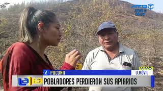 Pobladores perdieron sus apiaros en Pocona [upl. by Ahtnamas]