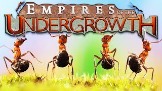 The Ant EMPIRE  Building a Black ANT COLONY  Empires of the Undergrowth Gameplay [upl. by Yaj]