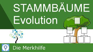 Stammbäume erstellen amp verstehen  Prinzipien der Stammbaumentwicklung  Evolution 22 [upl. by Einberger]