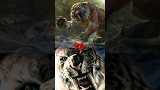 Sabertooth Tiger vs Siberian Tiger 🤯🤔 By info fact News [upl. by Jerrie]