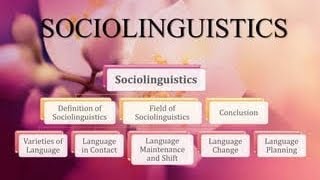 Sociolinguistics language variations dialect  Creole  Pidgin  learnenglishwithzzz [upl. by Jacobsen]