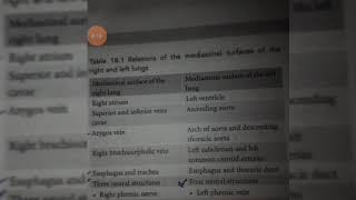 RELATIONS OF THE LUNGS TO THE MEDIASTINAL SURFACE [upl. by Newfeld]