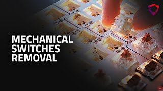 How to remove and replace mechanical switches on a Dygma Raise keyboard [upl. by Mannuela863]