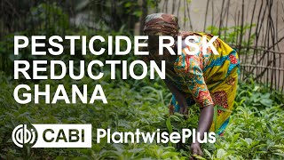 Pesticide risk reduction for safer food [upl. by Eibmab]