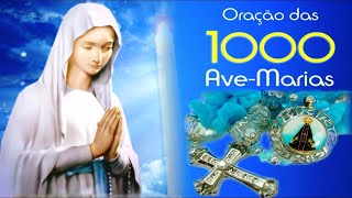 AO VIVO ORAÇÃO DAS MIL AVE MARIAS [upl. by Hinkel]