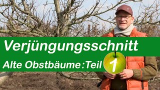 Verjüngungsschnitt  Alte Obstbäume schneiden  Teil 1 [upl. by Milt]