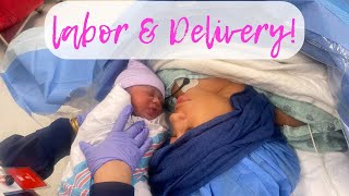 Labor amp Delivery 🍼🎀 LIVE BIRTH VLOG [upl. by Ettevram603]