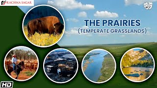 The Prairies Temperate Grasslands  Be an Explorer class 5  Rachna Sagar [upl. by Tletski]