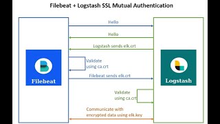 Elasticsearch 8 Security  Filebeat Logstash SSL Mutual Authentication Example [upl. by Orth]