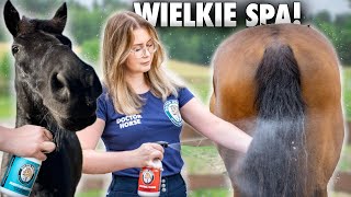 VLOG 311  WIELKA METAMORFOZA WENTYLKA [upl. by Teerpnam]