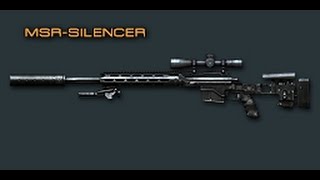 Cross Fire China  MSRSilencer Review [upl. by Khalil]