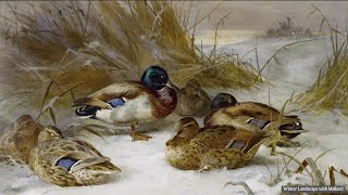 Birds by Archibald Thorburn [upl. by Modestine279]