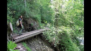 Wandern im Schwarzwald Wutachschlucht [upl. by Bekelja]