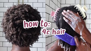 Curly Hair 101 Beginners Guide to 4C Hair [upl. by Latin]