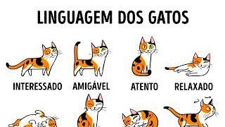 COMO ENTENDER MELHOR O SEU GATO [upl. by Elinad430]