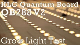 HLG Quantum Board grow light test  Horticultural Lighting Goup QB288 V2 [upl. by Idelle552]