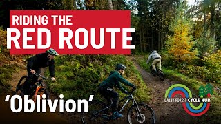 Mountain Biking In Dalby Forest Red Route – Gate 28 Oblivion [upl. by Bessie]