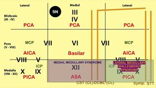 Brain Stem Lesion Mnemonic  CRASH Medical Review Series [upl. by Griseldis780]