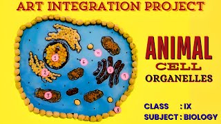 Animal Cell Model using Pulses l Science Art Integrated Project [upl. by Ggerc]