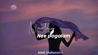 Tamil Whatsapp Status  Love Songs New  Love Whatsapp Status Tamil  female version status tamil [upl. by Aenej49]