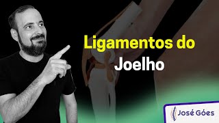 Ligamentos do joelho  José Góes [upl. by Yrehc]