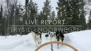 Live Report Trysil Noorwegen 20032017 [upl. by Ycnan]