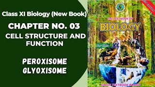 Ch 3 Cell Structure and function  Peroxisome and Glyoxisome  Class 11 biology new book Sindh board [upl. by Arella]