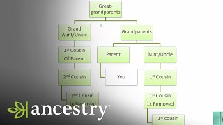 What is a First Cousin Once Removed  Ancestry [upl. by Emirak488]