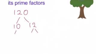 print prime factors of a number in cc  cpp programming video tutorial [upl. by Platas]