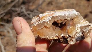 Botryoidal Agates and Ornate Multicolored Jaspers Thanksgiving Day 2023 Rockhounding Central Oregon [upl. by Evey]