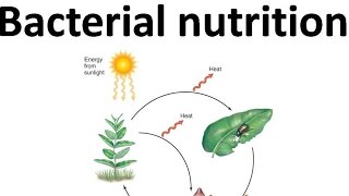 Autotroph heterotroph chemolithotroph etc [upl. by Yelah]