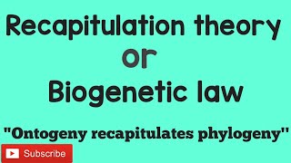 Recapitulation theory  Biogenetic law [upl. by Aisitel]