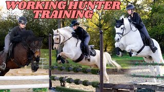 WORKING HUNTER TRAINING WITH POPCORN ROLO AND PANDA [upl. by Iridissa]