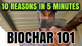 10 reasons why YOU need BIOCHAR Explained in 5 MINUTES [upl. by Atreb]